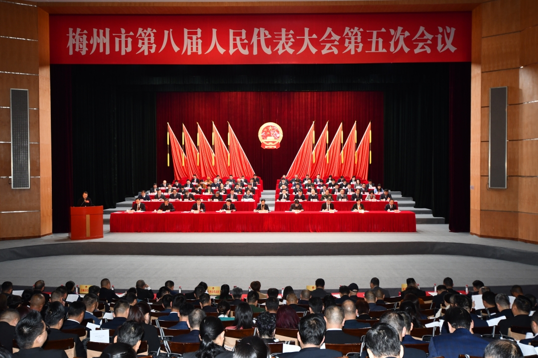 市八届人大五次会议举行第二次全体会议