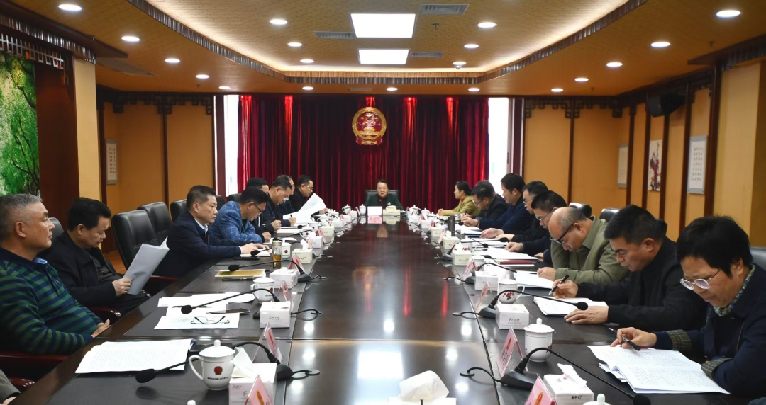 以人大高质效履职助推高质量发展