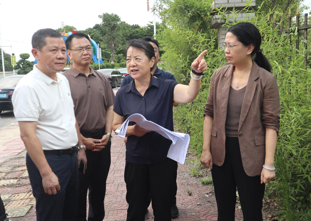 蓝伟东到梅县区畲江镇调研督导“百千万工程”等工作 汇聚合力推进项目加快建设