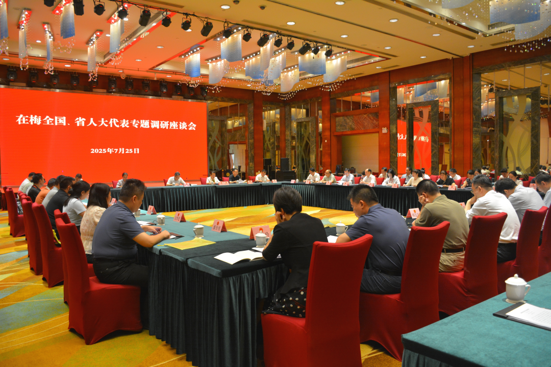 市人大常委会组织在梅全国、省人大代表开展专题调研 聚焦高质量发展 深入调研献良策