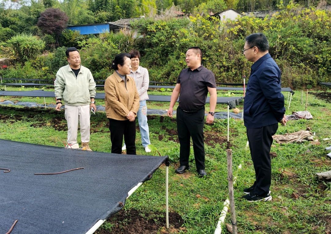 蓝伟东到梅县区畲江镇开展“百千万工程”调研和“围屋家访”工作 推动“百千万工程”取得新成效