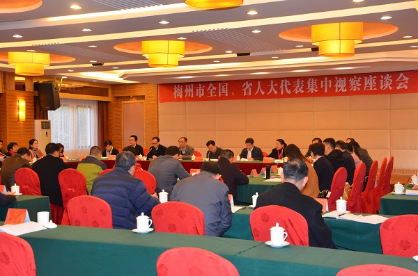 在梅全国和省人大代表召开座谈会