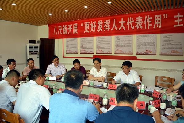黎健平到八尺镇开展“更好发挥人大代表作用”主题活动（二）