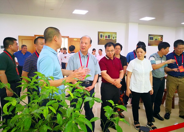 市人大常委会组织视察我市中医药事业发展情况（二）