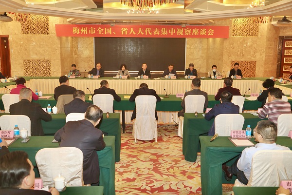市人大常委会组织全国省人大代表开展集中视察活动（一）