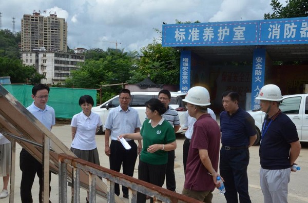 蓝伟东到大埔县调研挂钩联系重点项目建设情况