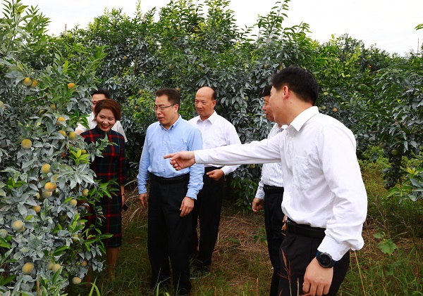 省人大常委会副主任王衍诗率队到兴宁调研