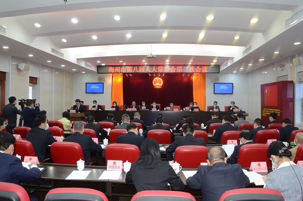 市八届人大常委会举行第三次会议