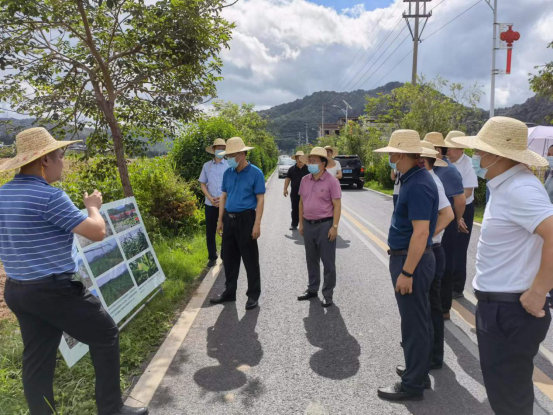 市人大常委会到梅江区调研督办代表重点建议