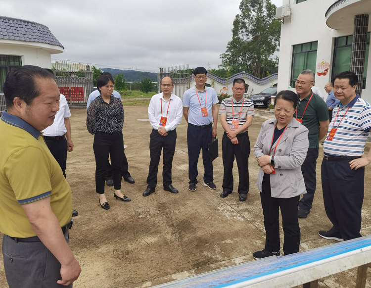 市人大常委会组织视察我市农村供水保障工作情况