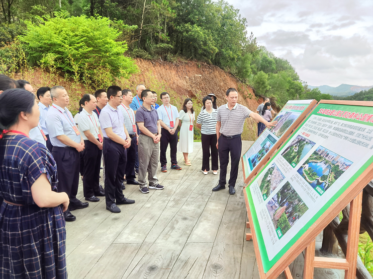 梅州市全国、省人大代表专题调研