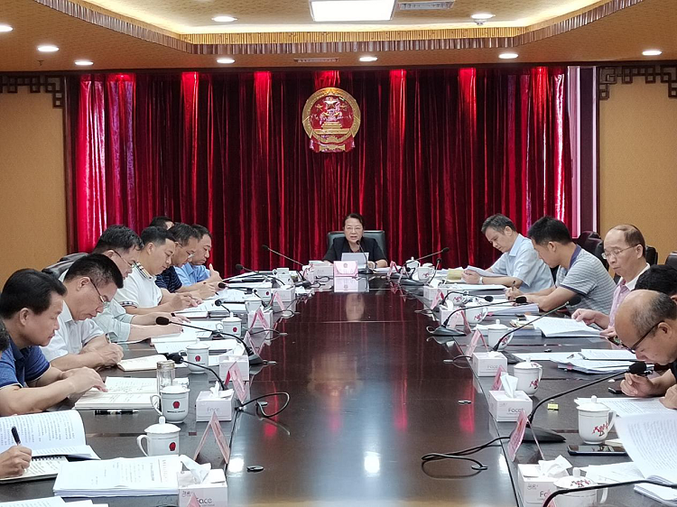 市人大常委会召开党组会议，学习贯彻习近平总书记重要讲话重要指示精神