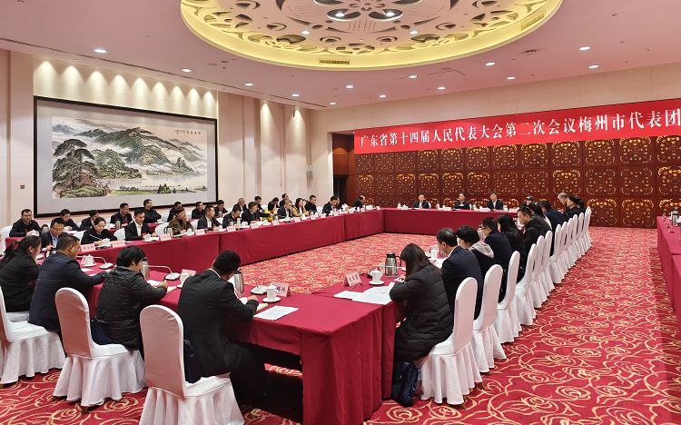 梅州代表团审议省政府工作报告