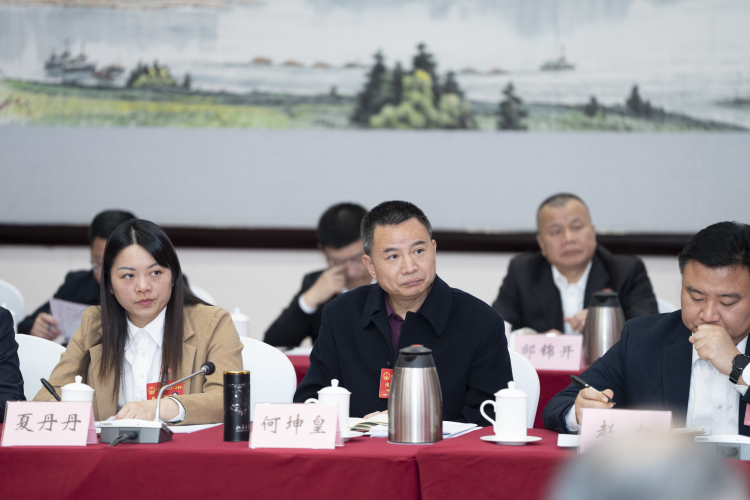 进一步支持新型储能发展