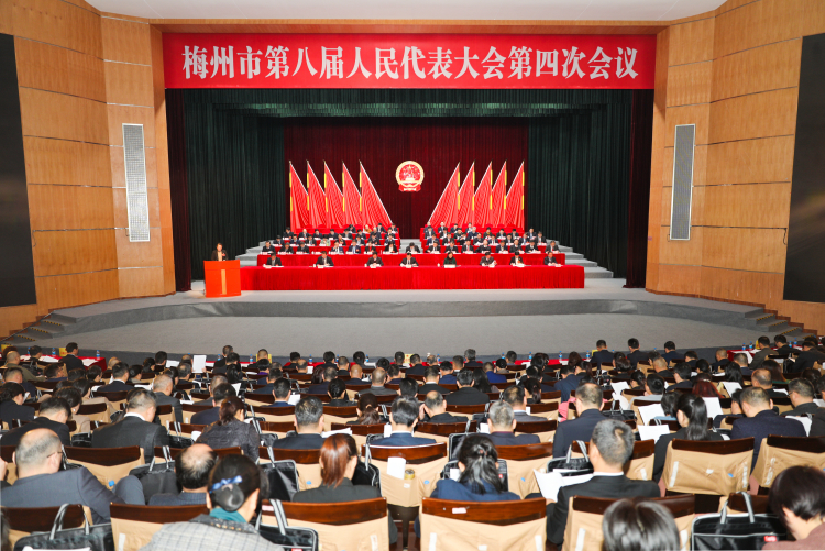 市八届人大四次会议举行第二次全体会议