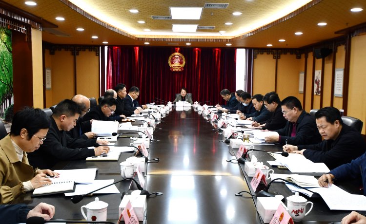落实全面从严治党新要求 推动人大工作取得新成效