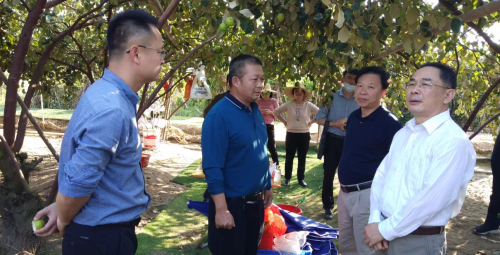 发展优势产业 推进植树护绿