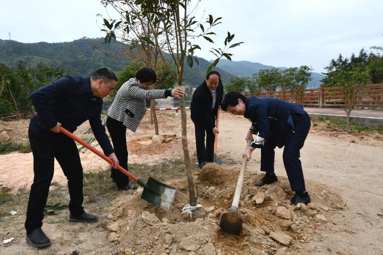 完善基础设施 壮大镇村经济
