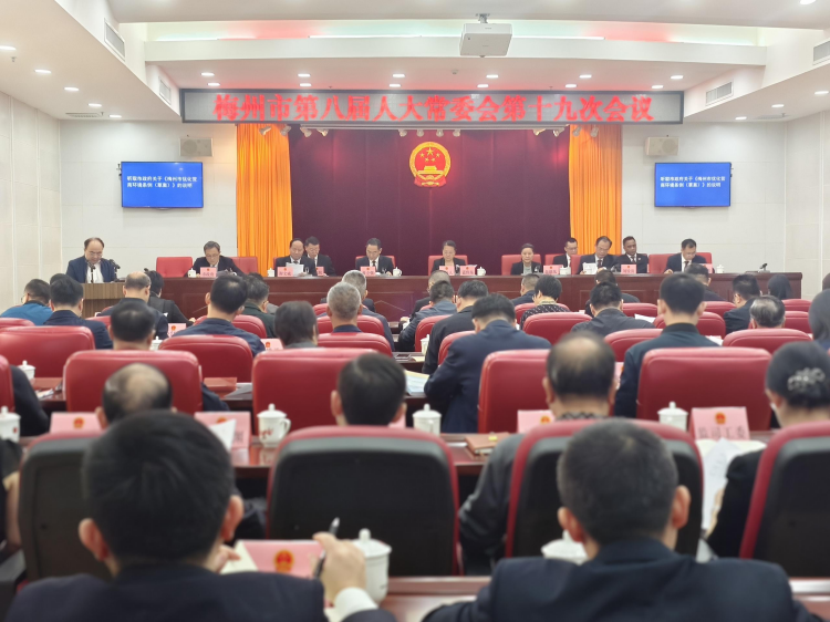 市八届人大常委会第十九次会议召开