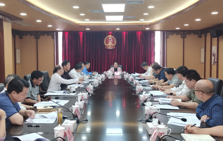 扎实有效做好人大各项工作
