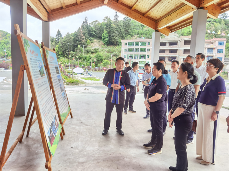 推进少数民族地区振兴发展