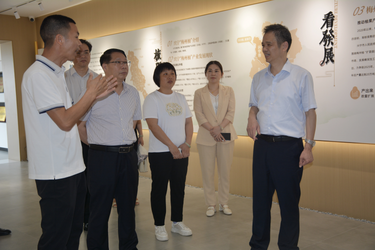聚焦产业发展 干出典型特色