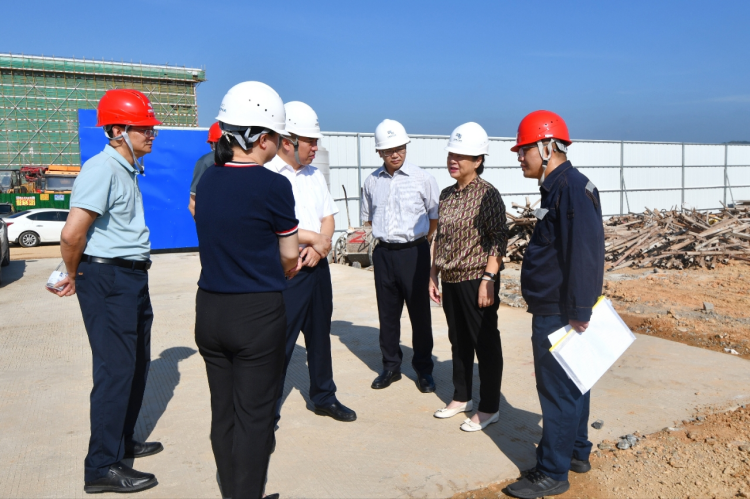 加快项目建设进度 确保早日建成投产