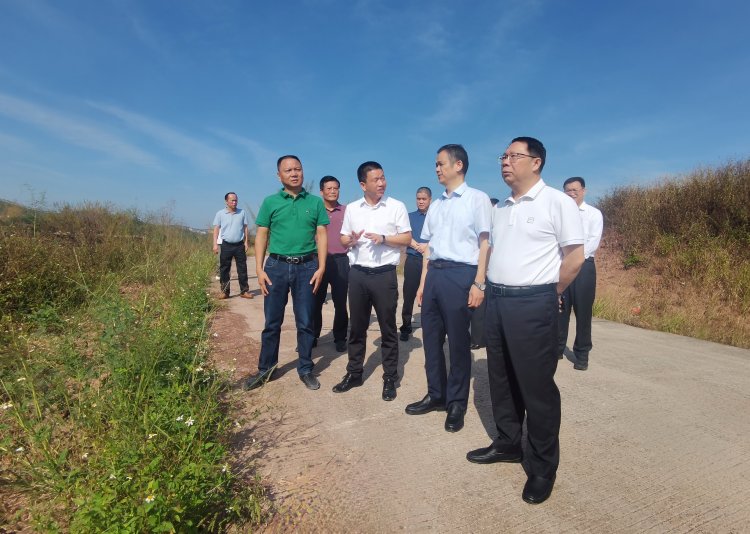 强化服务保障 加快项目进度