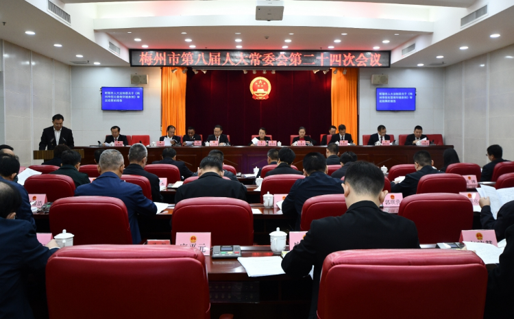 市八届人大常委会第二十四次会议召开
