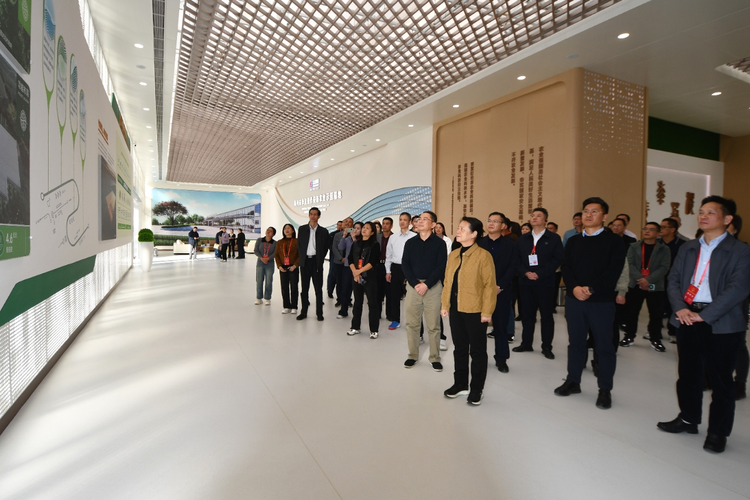 集中视察摸实情 集思广益谋发展