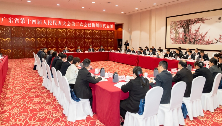 梅州代表团审议省政府工作报告