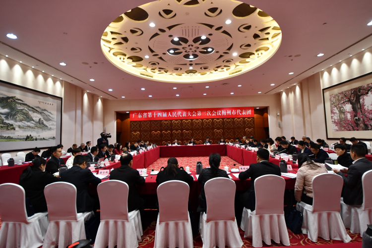 梅州代表团审议“三个报告”